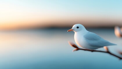 Obraz premium A serene white bird perched on a branch overlooking a tranquil lake at sunset