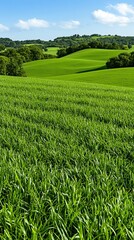 Lush Green Rolling Hills Landscape Farmland Nature Scenery Spring Summer