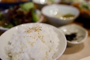 白ゴマをかけたご飯