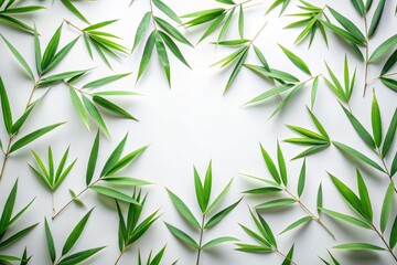 Obraz premium Elegant Fashion Photography with a Minimalist Approach Featuring Bamboo Leaves Against a White Background for Versatile Copy Space in Editorial and Advertising Use