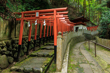 japanese gate of shinto shrine in kyoto