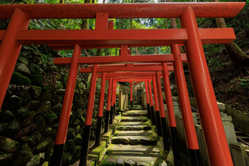 japanese gate of shinto shrine in kyoto