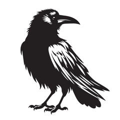 crow image - vector image of crow silhouette - bird flying 