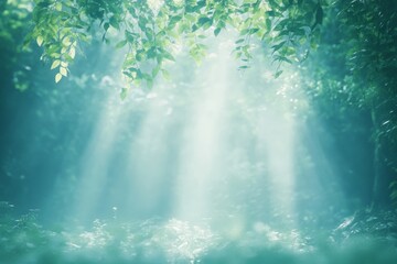 Sunlit Serenity in El Yunque Celebrating Discovery of Puerto Rico Day, Earth Day, Arbor Day with Lush Rainforest Beauty