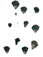 black and white hearts. abstract ink black of stain or splash black watercolor paint and liquid Ink splash splatter is  black line calligraphy of brush isolated on white background with clipping path
