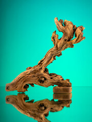 Close-up of wooden driftwood of intricate complex shape for interior decoration on mirror surface on green background