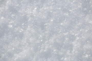 Obraz premium Close up of coarse grainy fresh white snow flake crystals surface in winter