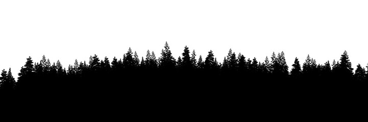 3d rendering of the dense pine forest silhouette on transparent background. Wide seamless nature panorama landscape cutout