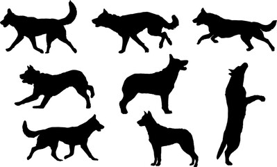 vector, isolated black silhouette of a dog