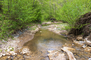 nature park , a walk along the riverbed with an overview of the stone bottom and banks