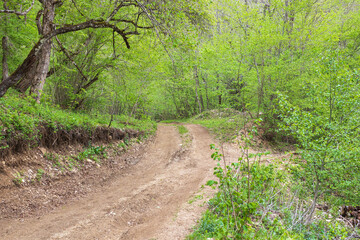 nature park , a walk along the riverbed with an overview of the stone bottom and banks