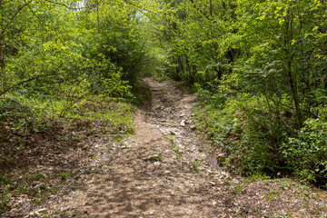 nature park , a walk along the riverbed with an overview of the stone bottom and banks