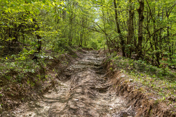nature park , a walk along the riverbed with an overview of the stone bottom and banks