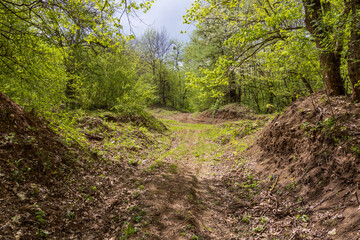 nature park , a walk along the riverbed with an overview of the stone bottom and banks