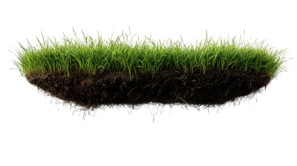 3d rendered, isolated grass field flying in air, isolated on white. Floating Piece of land with green grass surface and soil section. Flying land grass texture and empty grass field isolated..