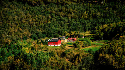 House in a beautiful forest