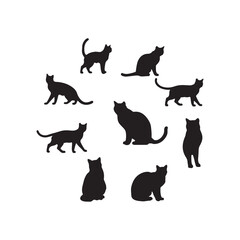 cat silhouette flat illustration