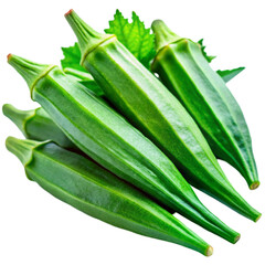 Single okra pod isolated on transparent background