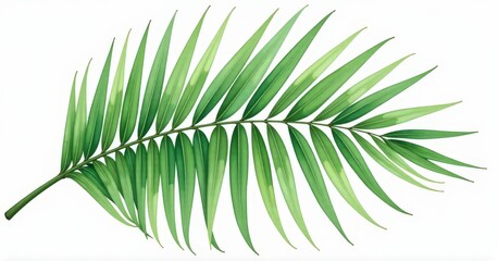 Obraz premium Tropical Palm Leaf Watercolor Painting Eco Friendly Art Natural Green Hues