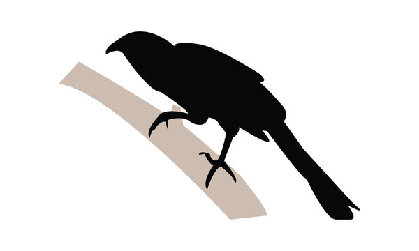 recommend clip art: Crow Pheasant Silhouette Design  And Vector Illustration. 