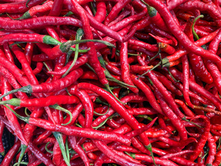 red chili, collections red chili, fresh chili, wallpaper, background.