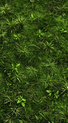 A lush green field with many plants and grass