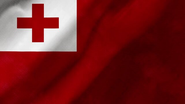 Tonga flag waving background with real fabric texture