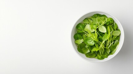 Fresh green leaves in a white bowl against a minimal background, showcasing vibrant color and natural beauty.