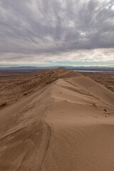 On the top of the dune horizontal view