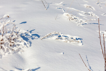 A branch covered in snow is laying on the ground