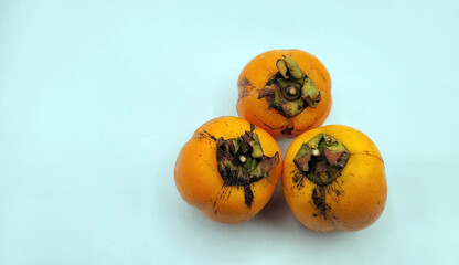 西条柿・渋柿／Saijo persimmon/Astringent persimmon／사이조 감·시부 감