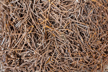 Pile of Rusty Nails from Construction on Concrete Surface