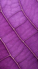 Vibrant Purple Leaf Textures for Nature Lovers