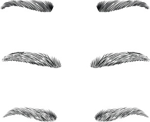 Obraz premium Illustration vector Eyebrows Beauty Collection. Various Female Brows Types. Eyebrow embroidery, Permanent Makeup, Microblading, Micropigmentation. Beauty treatment, body care, beautician concept.