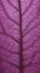 Purple Leaf Texture with Intricate Veins