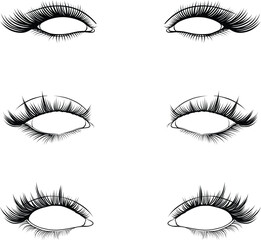 Eyelashes set. Illustration vector of eyelash extensions collection clipart design. Beautiful black long lashes