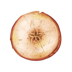 Dry apple slice. Ripe fruit for healthy snacks, culinary dishes, healthy snacks. Natural dessert from a farmer's harvest. Organic decoration for home, sustainable xmas. Isolated digital illustration