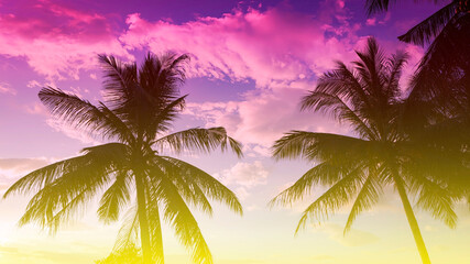 Banner Summer with colorful theme as palm trees background as texture frame background