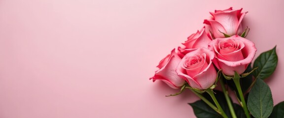 Delicate pink roses arranged elegantly on a soft pastel background for a romantic occasion