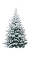 Frosted Christmas Tree with Snowy Branches