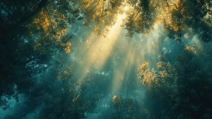 Fototapeta premium A drone shot of a forest with patterns from tree shadows and sunlight filtering through leaves, creating an abstract image that is complex and naturally beautiful.