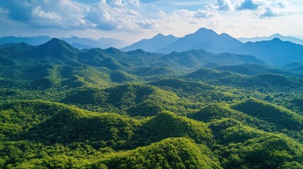 Naklejka premium Aerial drone shot of a lush green forested mountain landscape. The drone captures the blue sky and the beautiful mountain peaks.