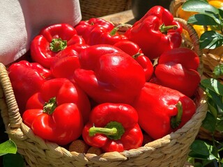 Red bell peppers ripe sweet pepper in basket