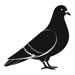 Pigeon Silhouette Vector Illustration. Black Design White Background