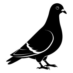 Pigeon Silhouette Vector Illustration. Black Design White Background