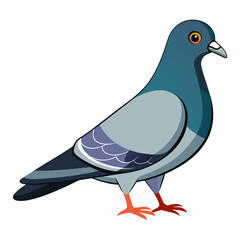Colorful Pigeon Vector Illustration Isolated on White Background