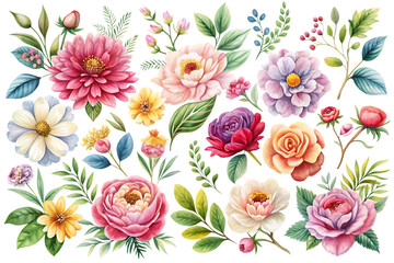 Collection flowers vector transparent background. Png File