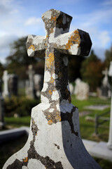Quin Abbey - Franciscan - Quin Friary - Quin - Ennis - Co. Clare - Republic of Ireland