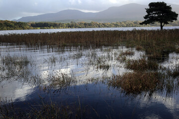 Lough Leane - Muckross house estate - Killarney - Co. Kerry - Republic of Ireland