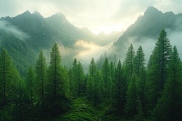 Misty Mountain Sunrise